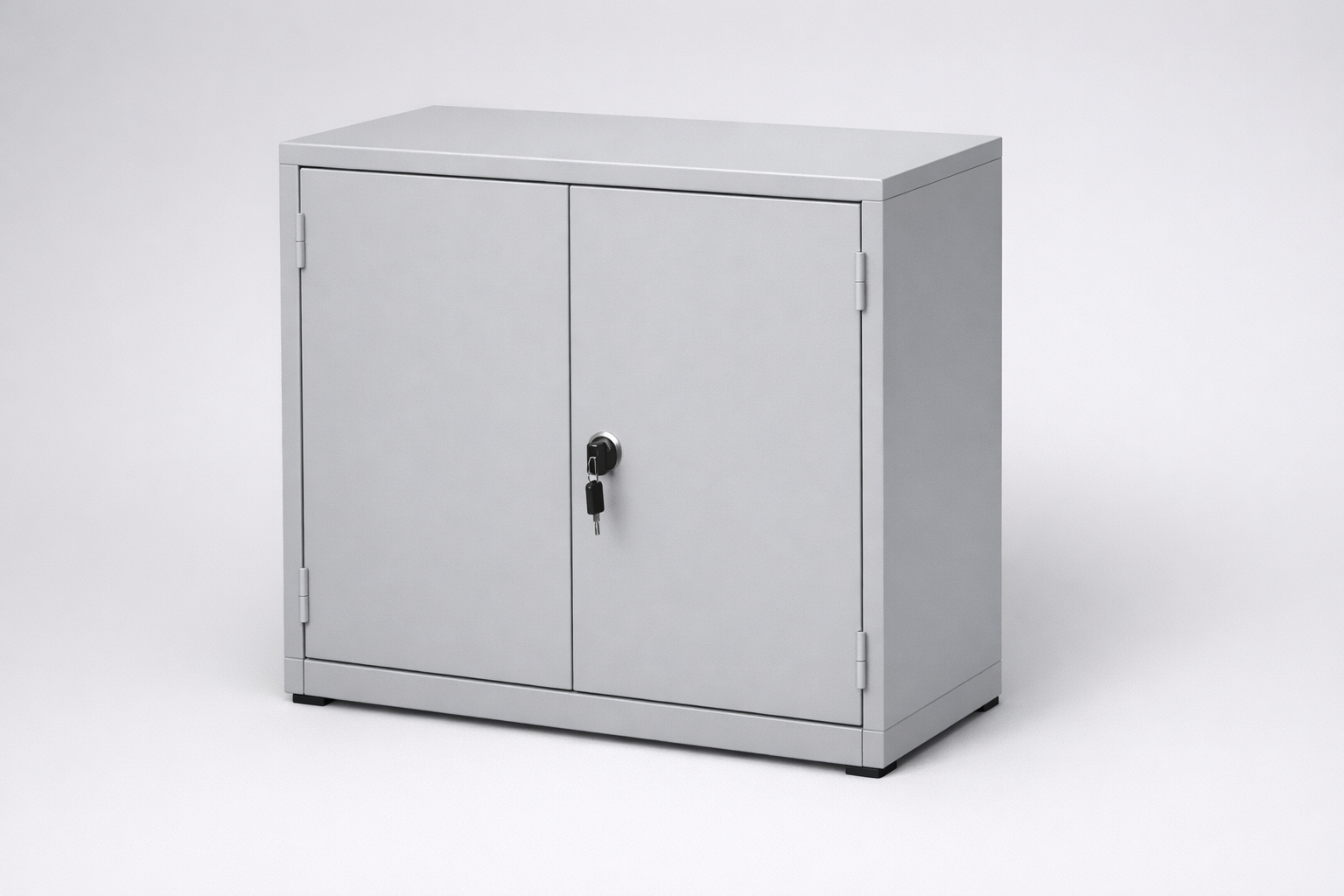 Closed shelving unit RZ 803 lx - ordered storage of binders, documents and office